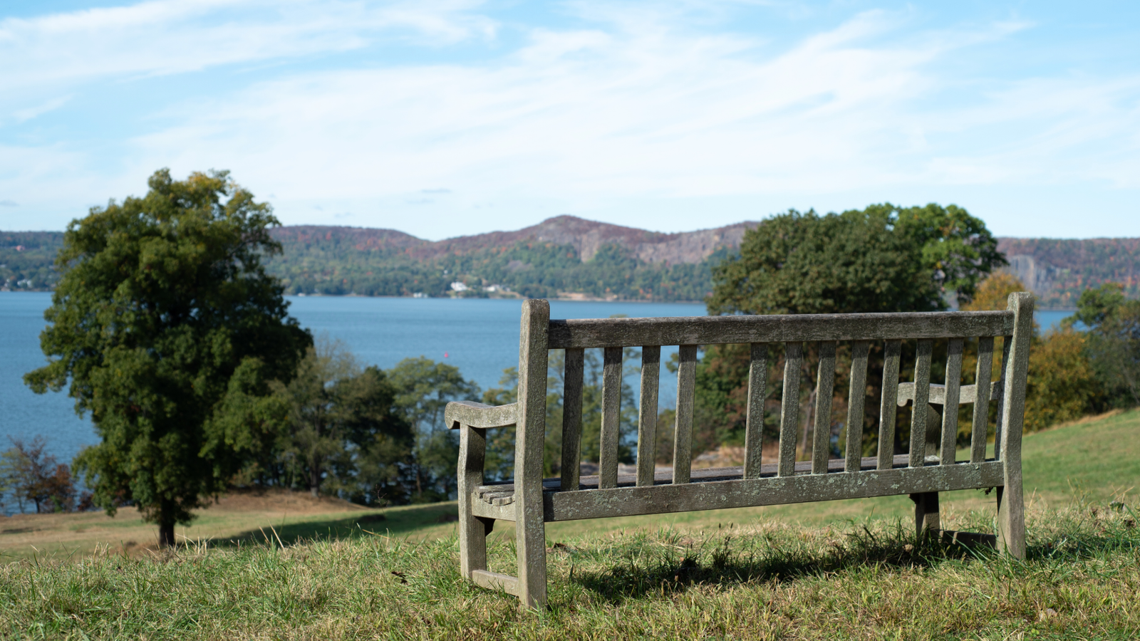 Larchmont